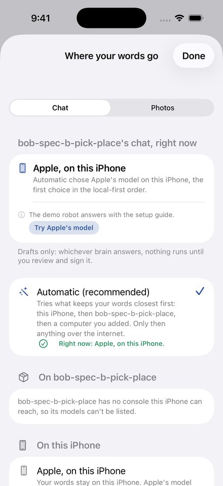 The Where your words go sheet, listing brains by place with Automatic chosen